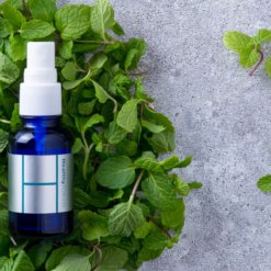 HealthyTOKYO CBDオイル ジャパン ハッカ ミント ベッド