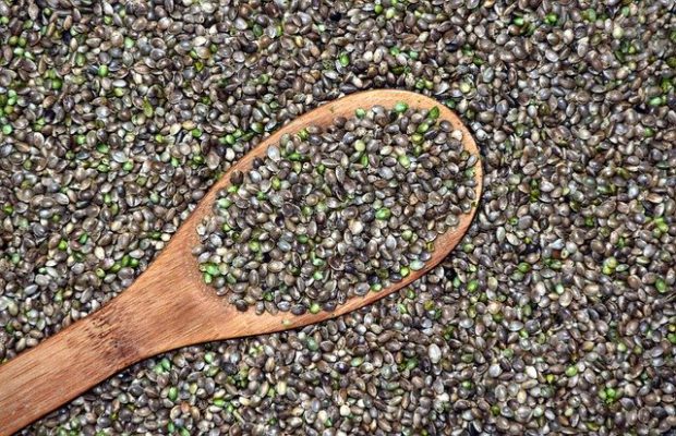 truth about hemp oil in japan