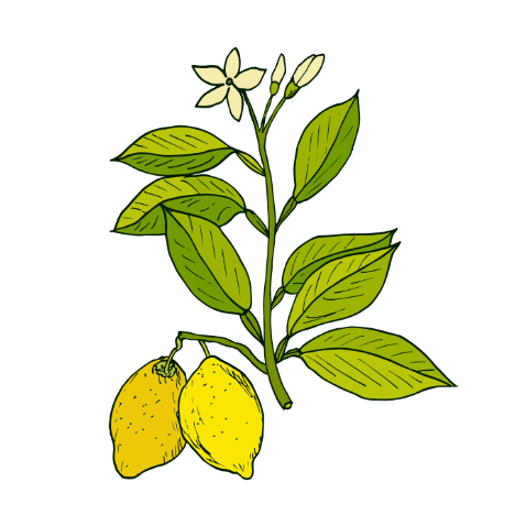 lemon